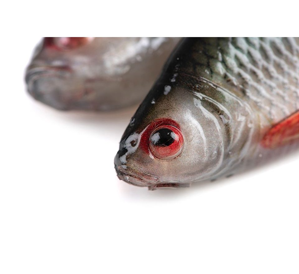 Fox Rage Gumová nástraha Ultra Natural Roach