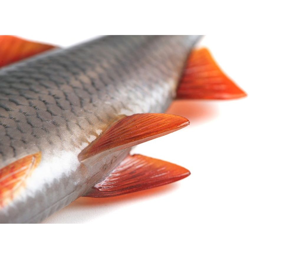 Fox Rage Gumová nástraha Ultra Natural Roach