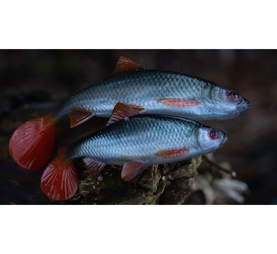 Fox Rage Gumová nástraha Ultra Natural Roach