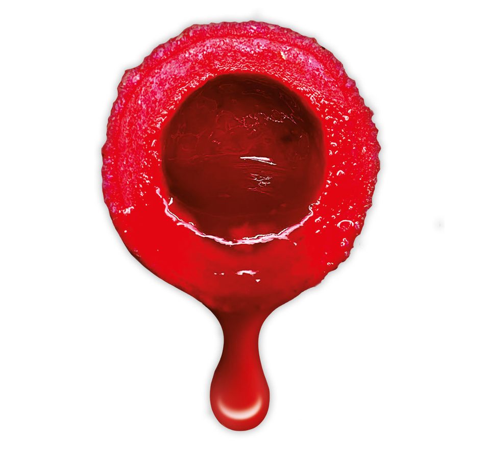 LK Baits Nutrigo Extra Divoká Jahoda