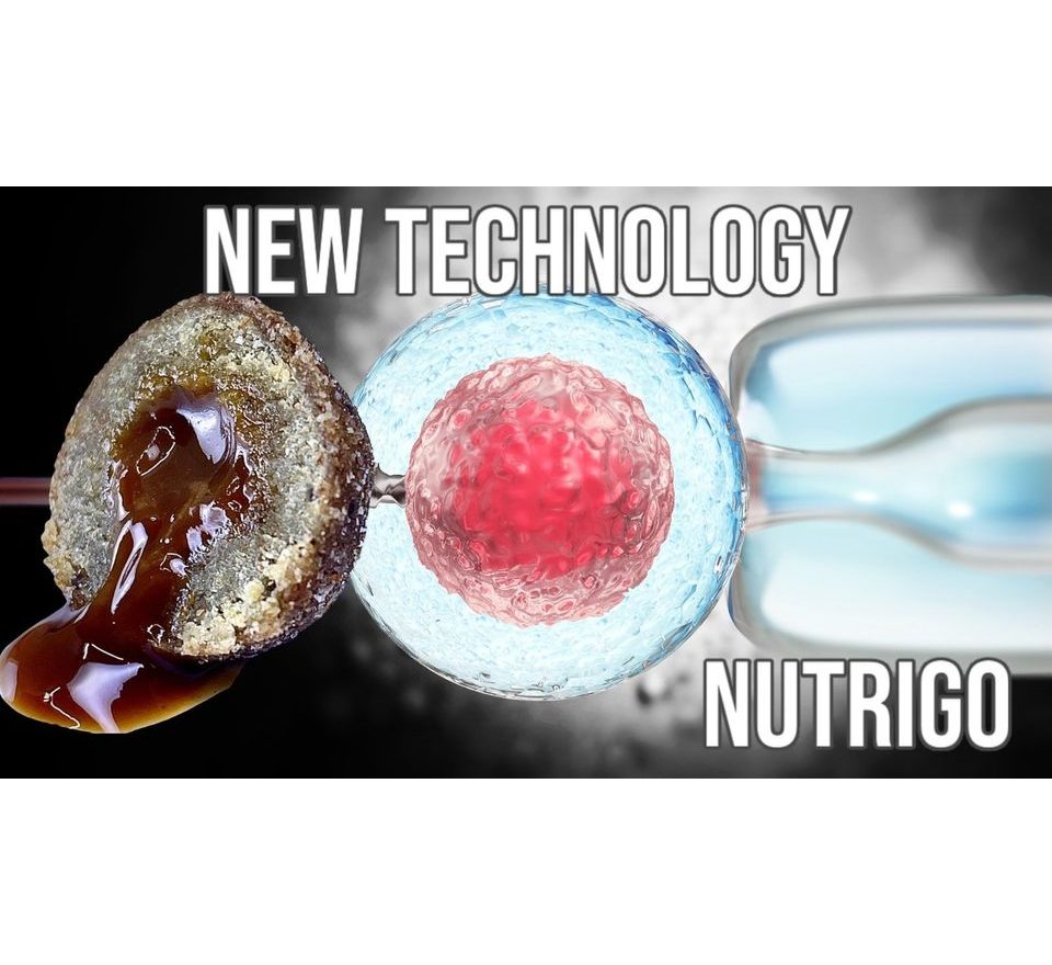 LK Baits Pet Doplněk stravy Nutrigo Dog Supplement Plantago Sirup