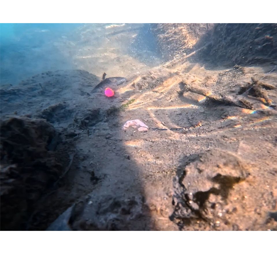 Delphin Olověná zátěž CyberBarbed Tube