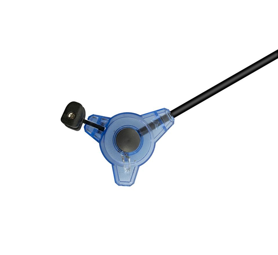 Delphin Swinger s ramienkom Tryo