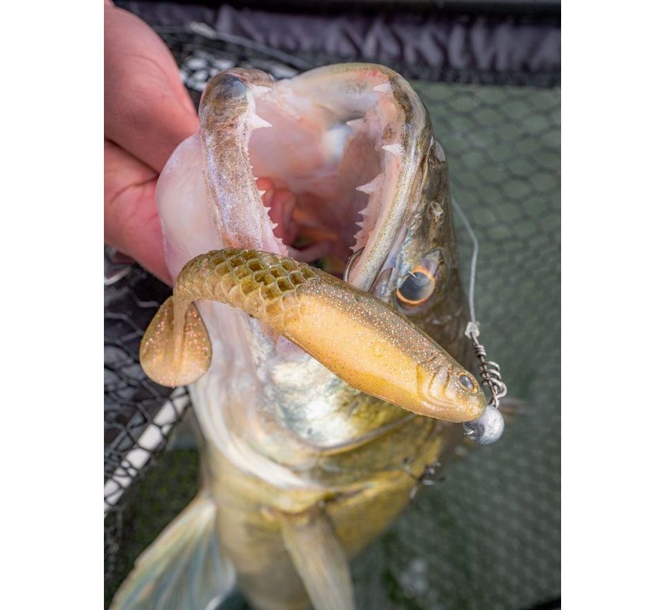 Berkley Gumová nástraha PowerBait Cullshad Ayu