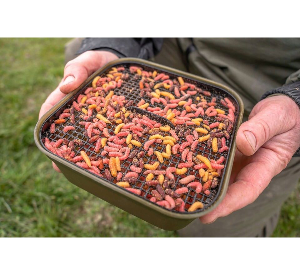 Korum Krabička Maggot Tub And Riddle - 2PT/1,2l