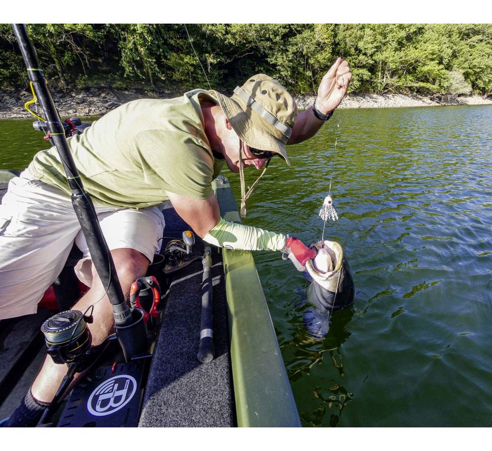 Black Cat Chobotnička Battle Teaser Žlutá/Černá 160g