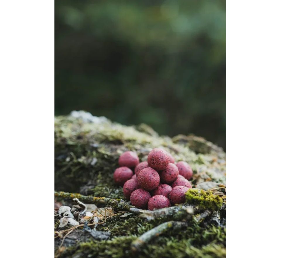 DK Fishing Boilies Power Attract 5kg