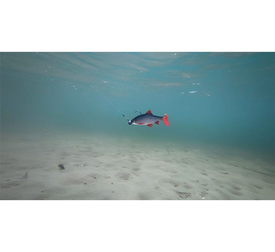 Fox Rage Gumová nástraha Ultra Natural Roach