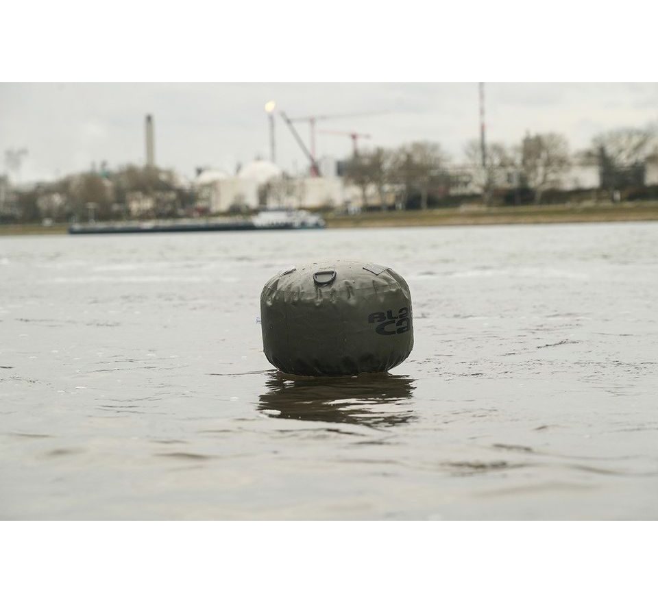 Black Cat Bójka S Bója