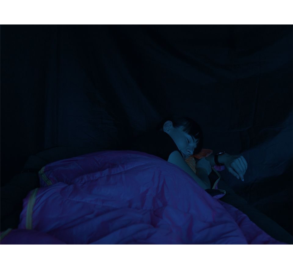 Delphin Spací pytel Queen