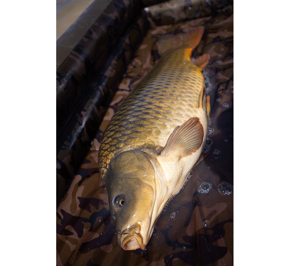 Fox Podložka Carpmaster Air Mat XL