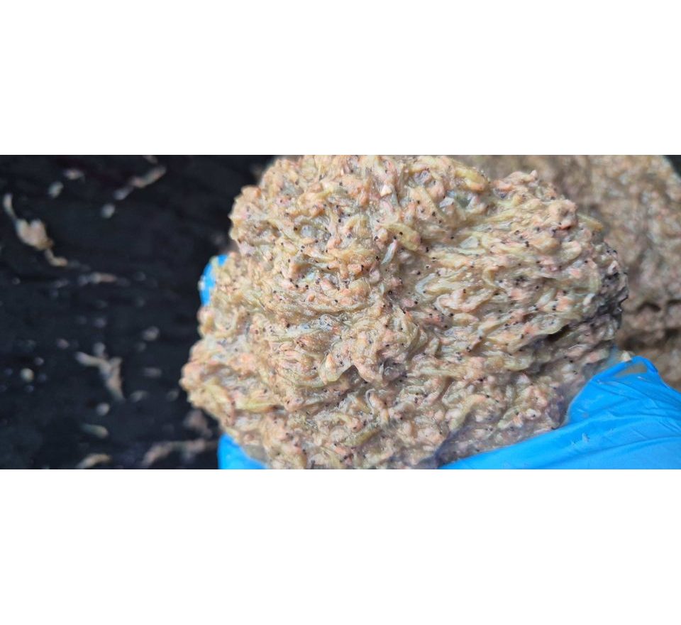 G.B.U. Boilies Superba