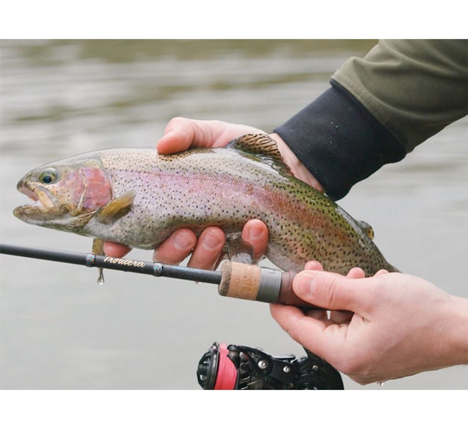 Delphin Prut Troutera HardLure 180cm 1-5g