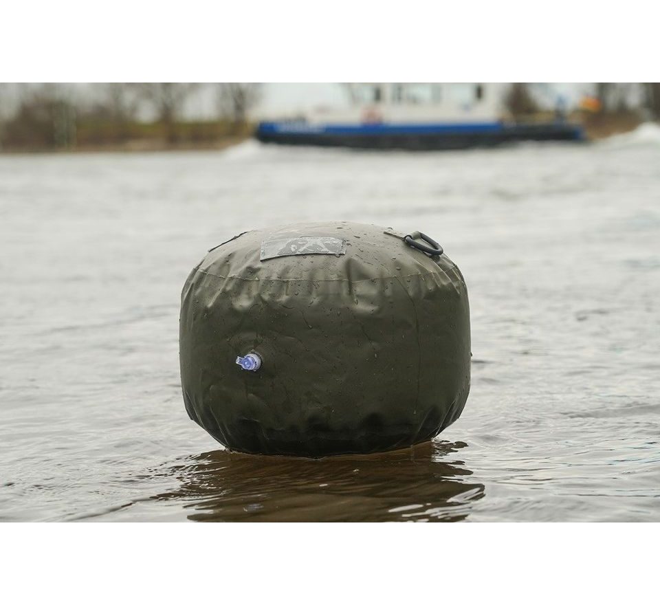 Black Cat Bójka S Bója