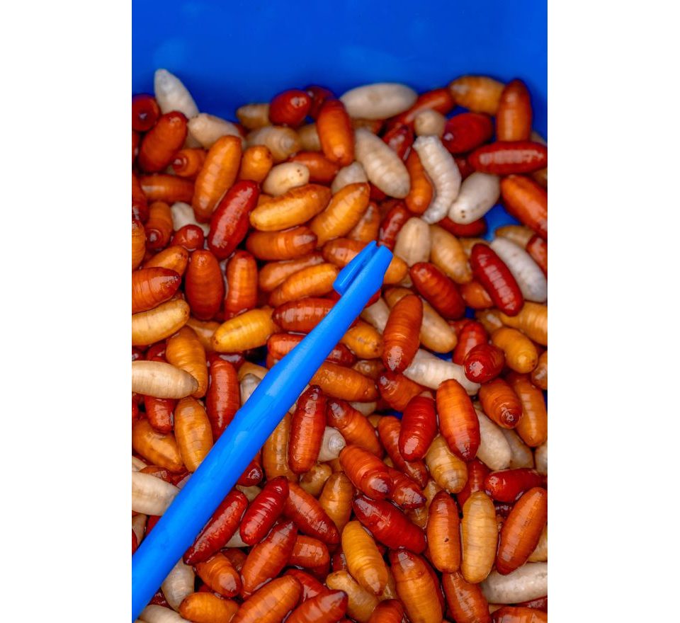 Preston Vyprošťovač Bander Disgorger Twin Pack