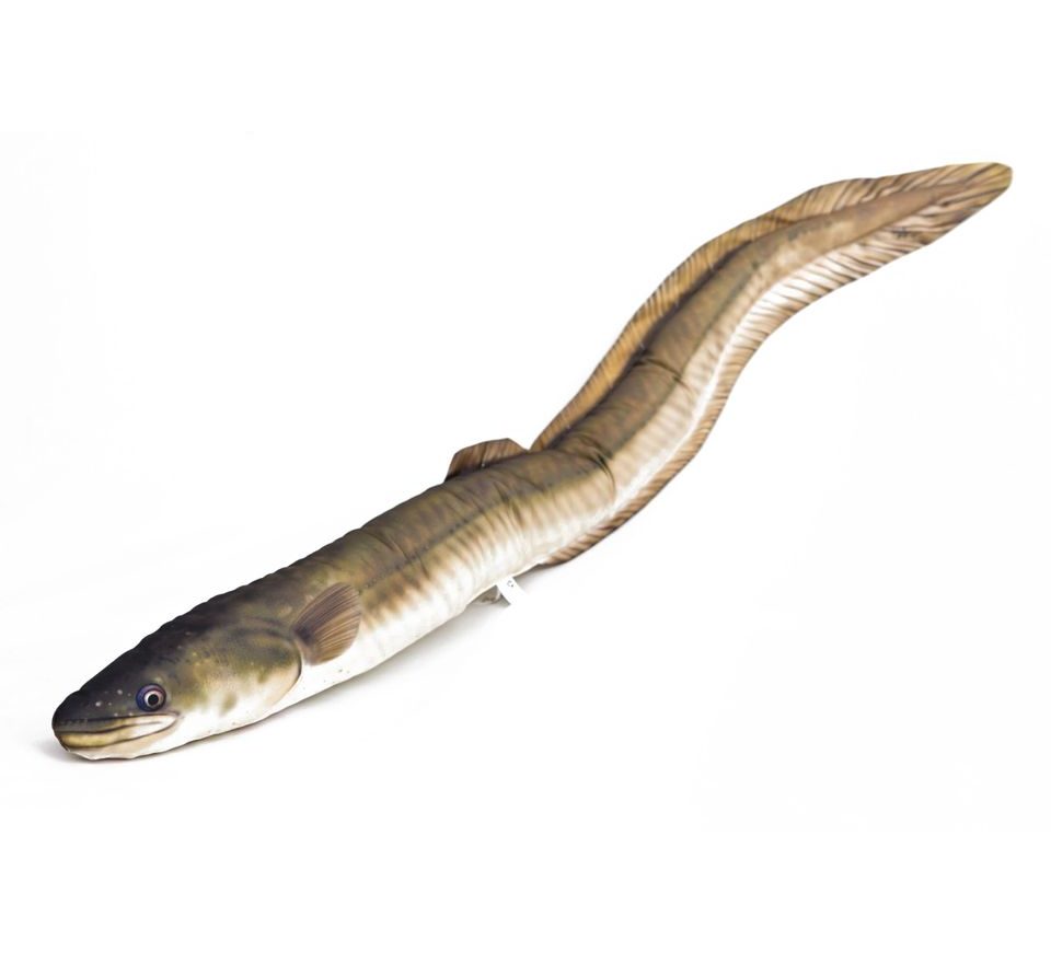 Gaby Vankúš Úhor riečny 115 cm