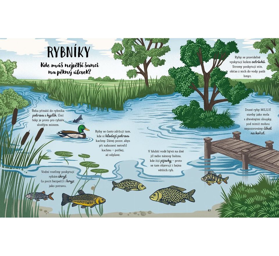 Kniha Poprvé na rybách - Will Millard