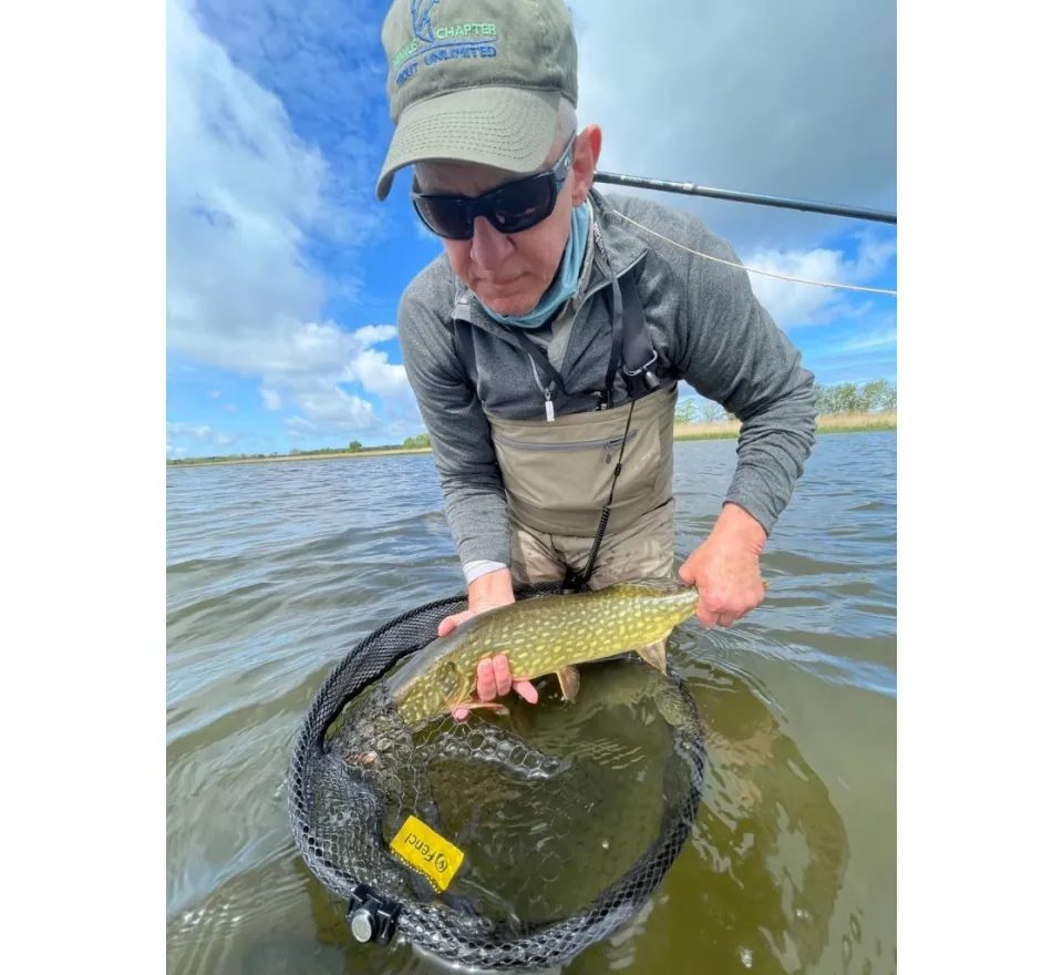 Fencl Muškařský podběrák King L Natur s pogumovanou sítí a magnetem