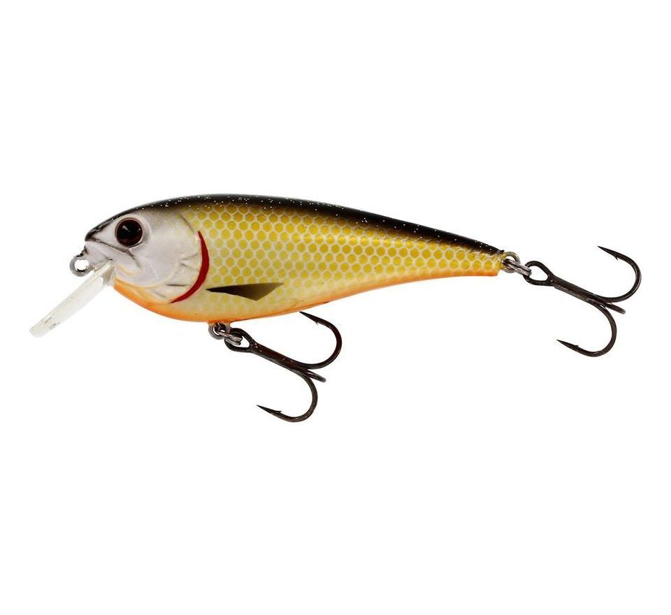 Westin Wobler RawBite Floating Official Roach