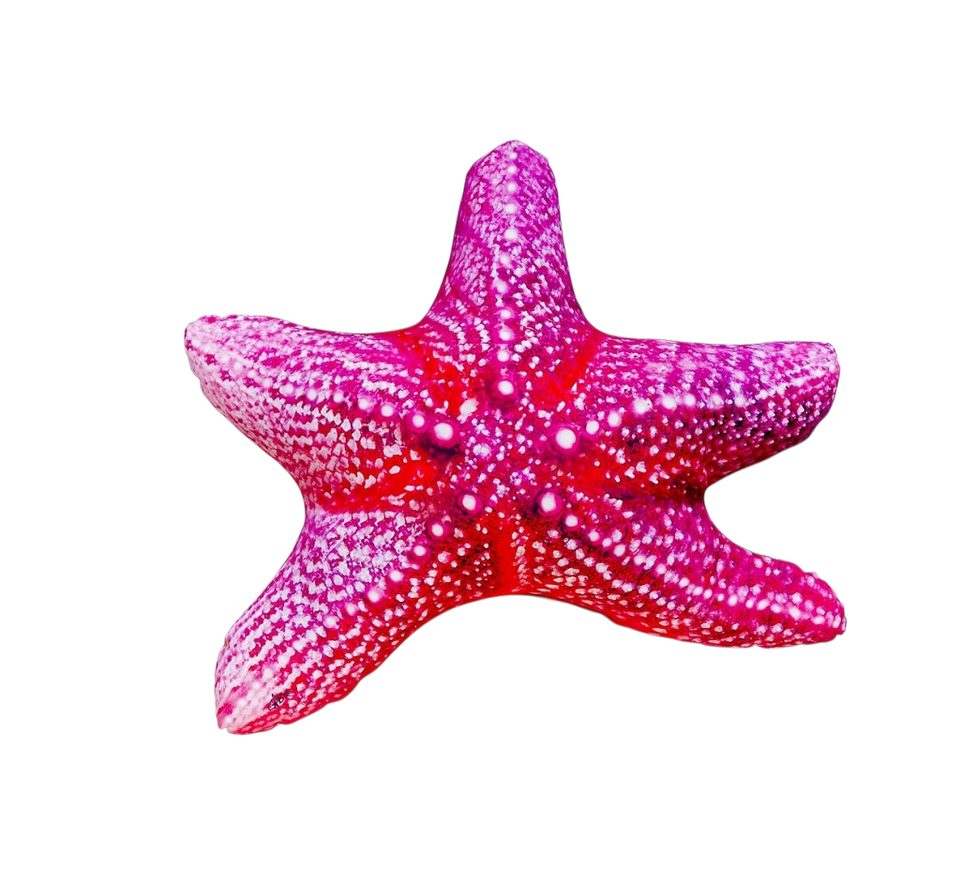 Gaby Polštář Hvězdice 55cm