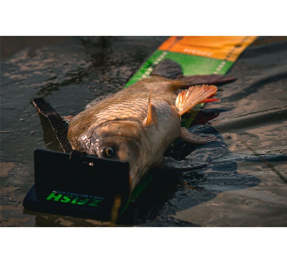 Zfish Meracie Podložka Challenger