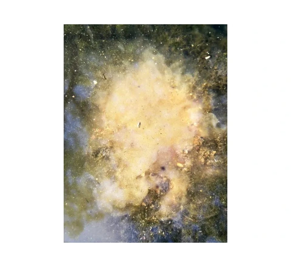 Chytil Krmítková směs Carp Mix 800g