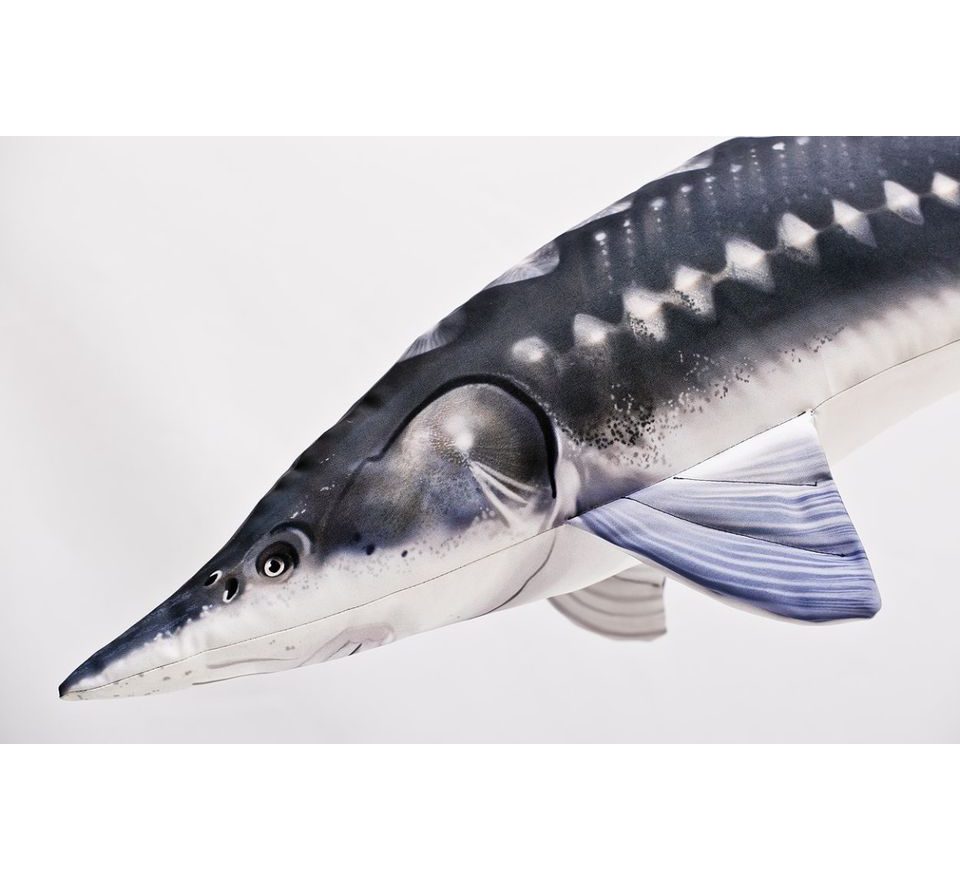 Gaby Polštář Jeseter 120cm