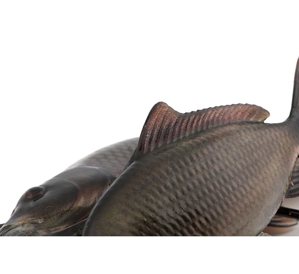 Fox Rage Gumová nástraha Ultra-Realistic Common Carp Replicant