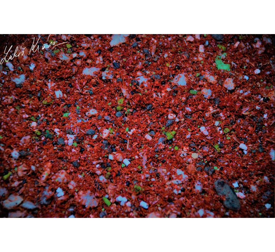 LK Baits IQ Method Mix Fruit 1,5kg