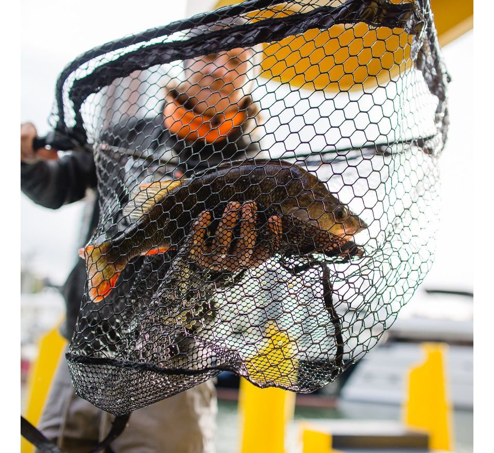 Zeck Podběrák Folding Rubber Net XL