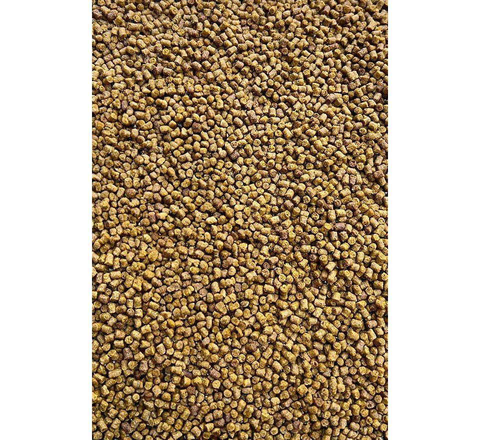 FeederBait Pelety Method Pellet 2mm 800g