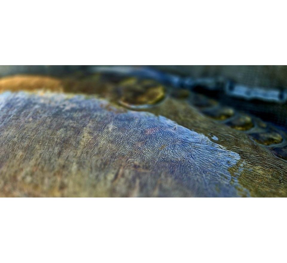 G.B.U. Boilies Superba
