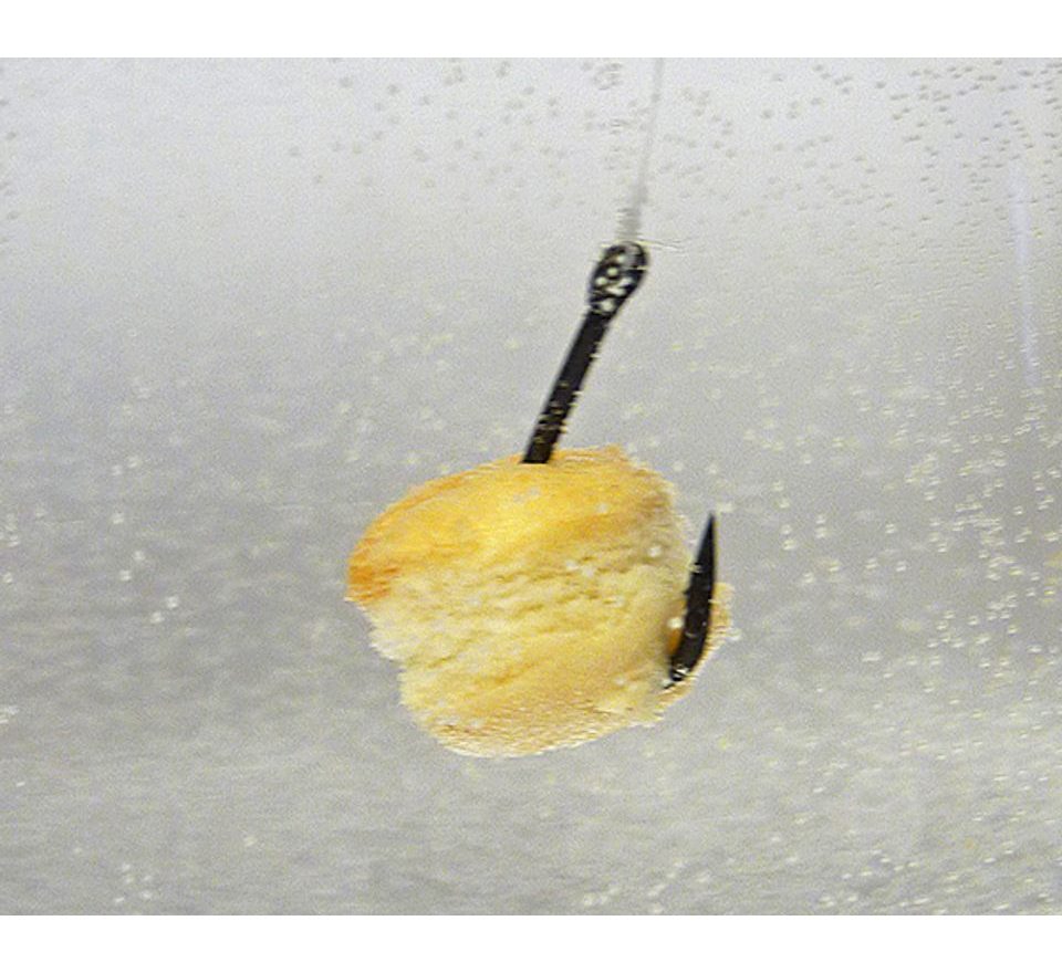 Chytil Pařený rohlík 10mm 50g