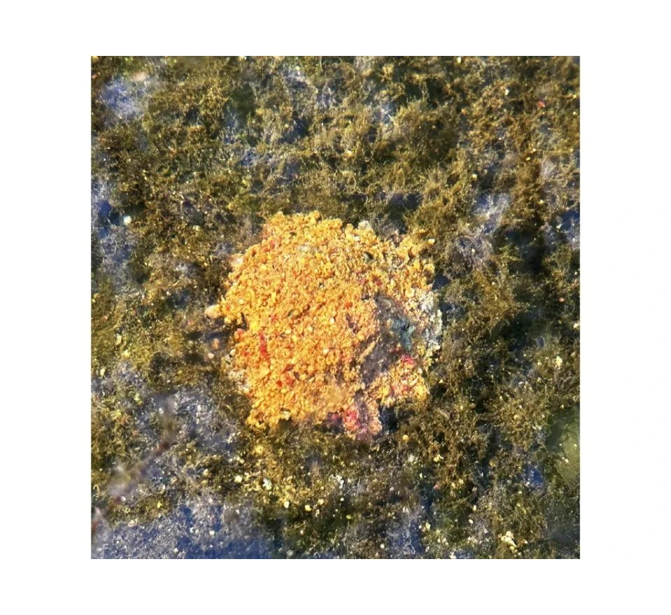 Chytil Krmítková směs Carp Mix 800g