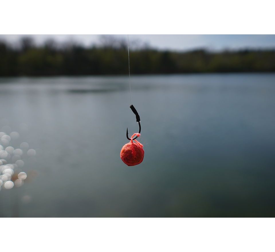 Chytil Rohlíkový Boilies Maxi FLUO 20mm 65g