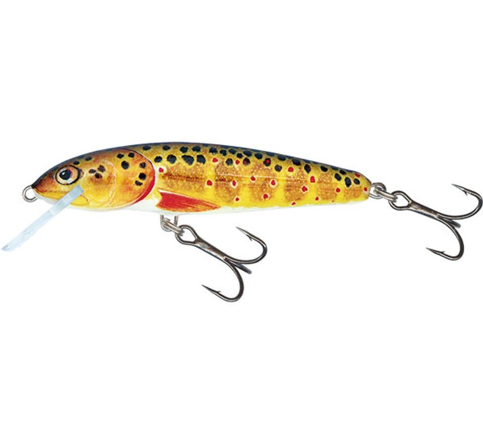 Salmo Wobler Minnow Floating 6cm