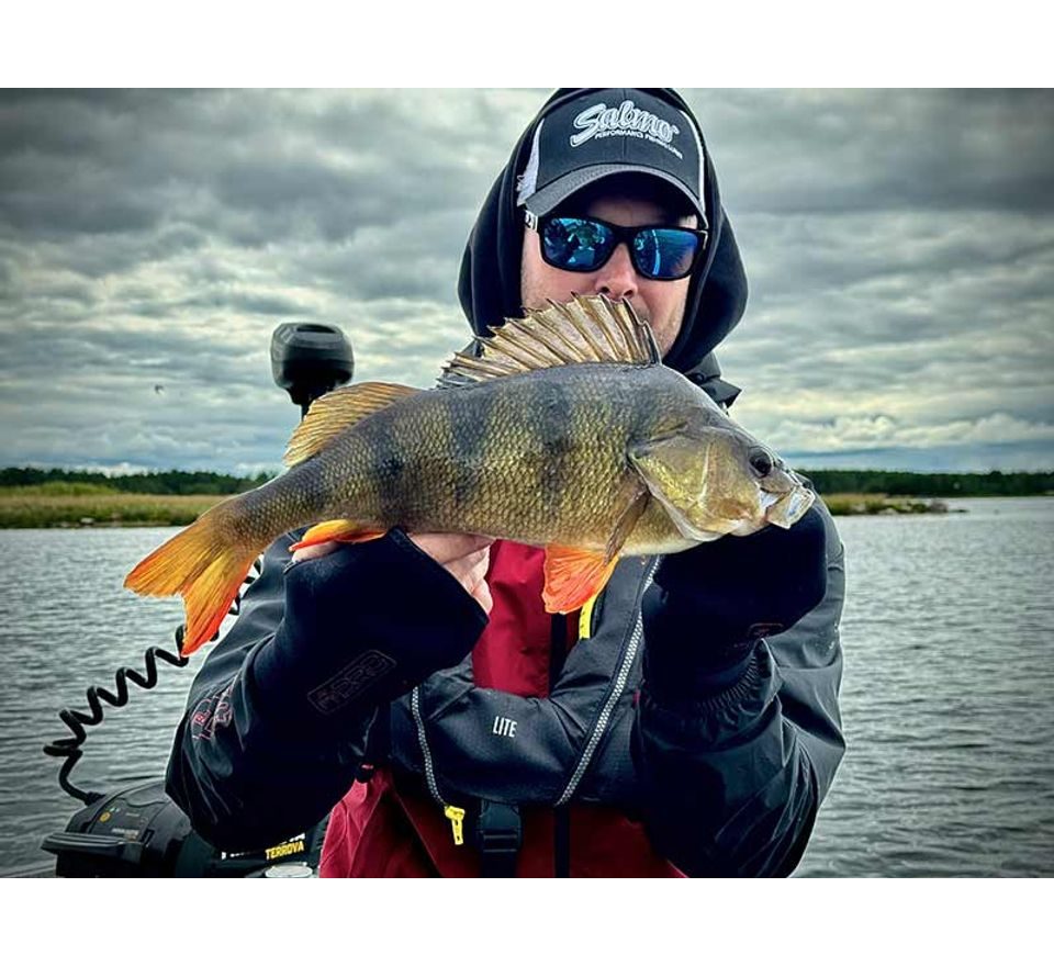 Fox Rage Pro Series Neoprene Mitts