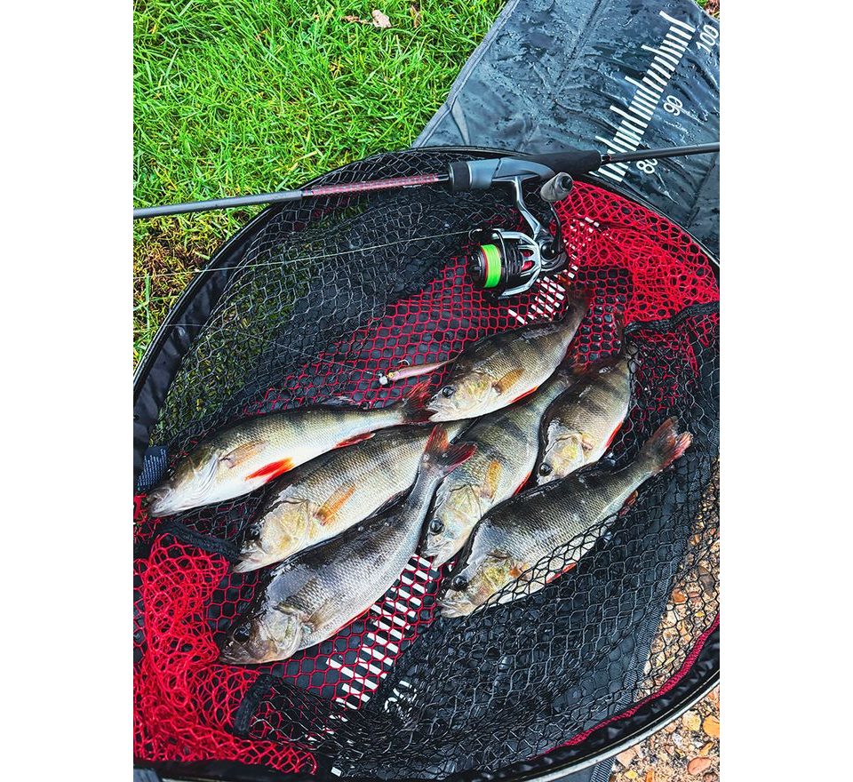 Fox Rage Gumová Nástraha Mini Tiddler Mixed Colour Pack Loaded 8cm 4ks