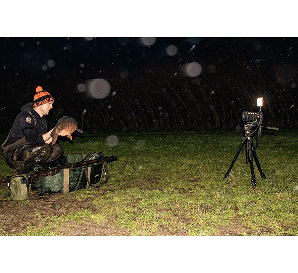 Fox Světlo Halo Photography Light