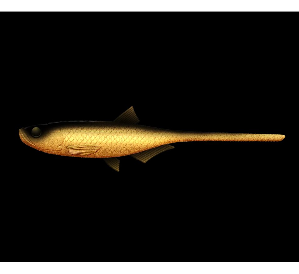 Libra Lures Gumová nástraha Bleak Slug Tail 8,2″ 21cm 35g