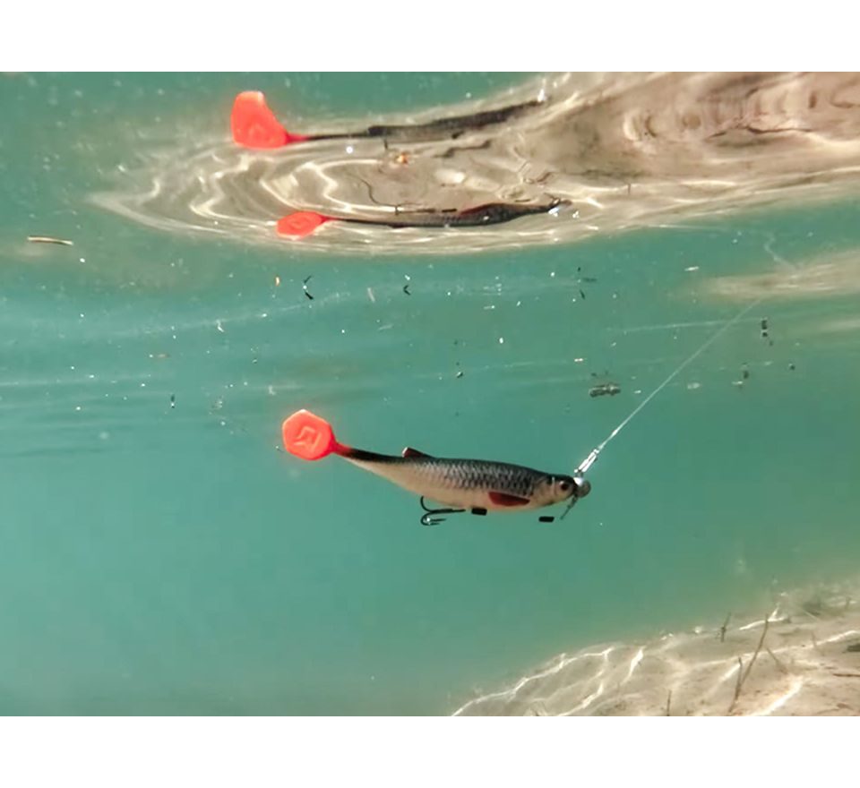 Delphin Umělá nástraha Realix 3D 2ks