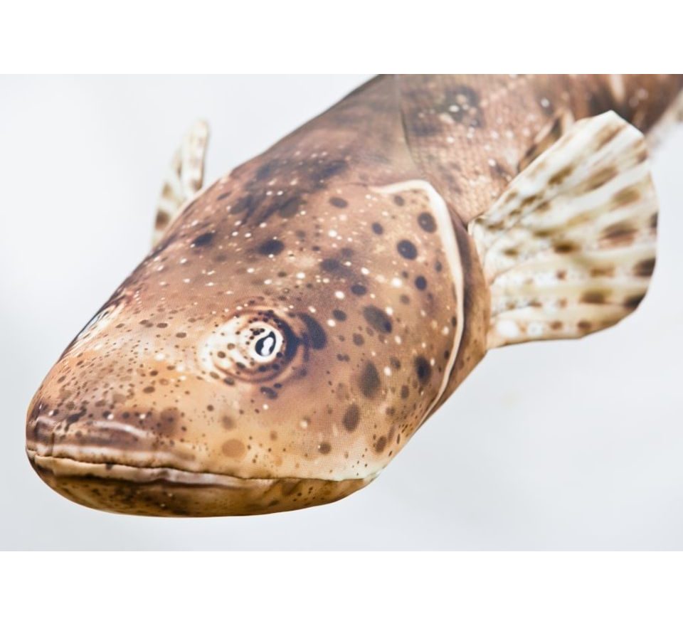 Gaby Polštář Ploskohlavec tmavý 102cm