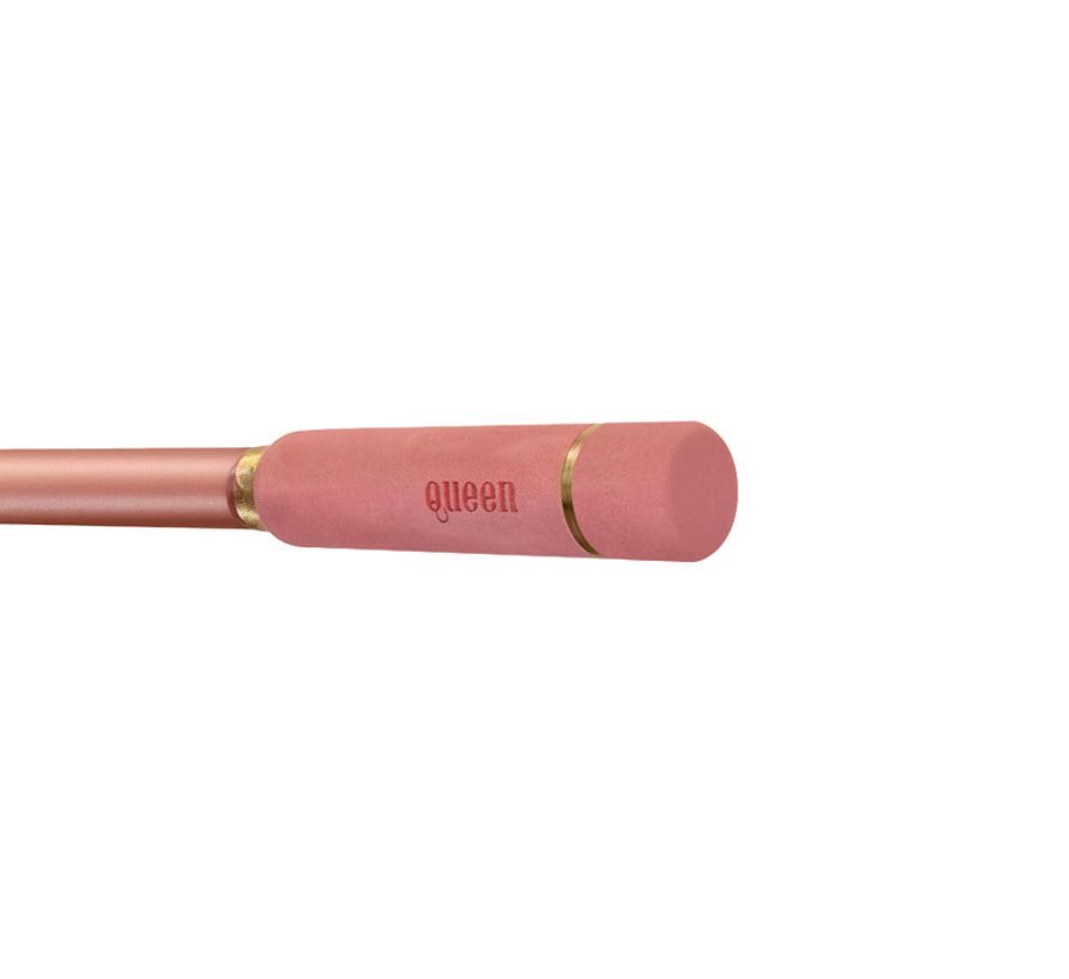 Delphin Prut Queen Tele 300cm 100g