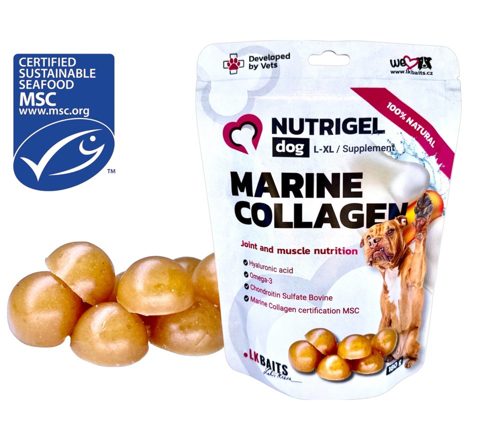 LK Baits Pet Kolagen Nutrigel Dog Marine Collagen