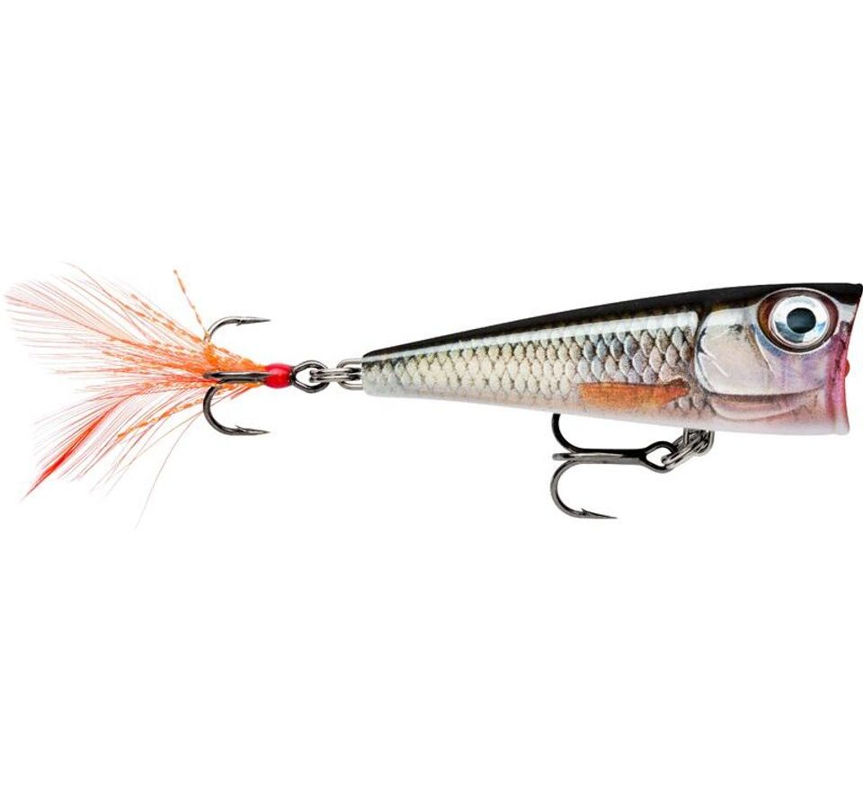 Rapala Wobler X-Light Pop Live Roach
