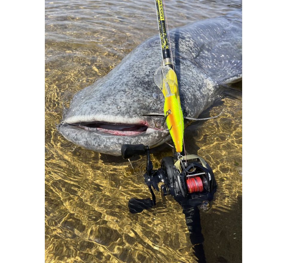 Black Cat Prút Perfect Passion Allstar Cast 2,2m 130g