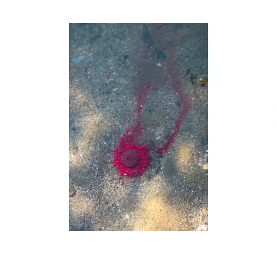 Chytil Boilies Pandemia 20mm 100g