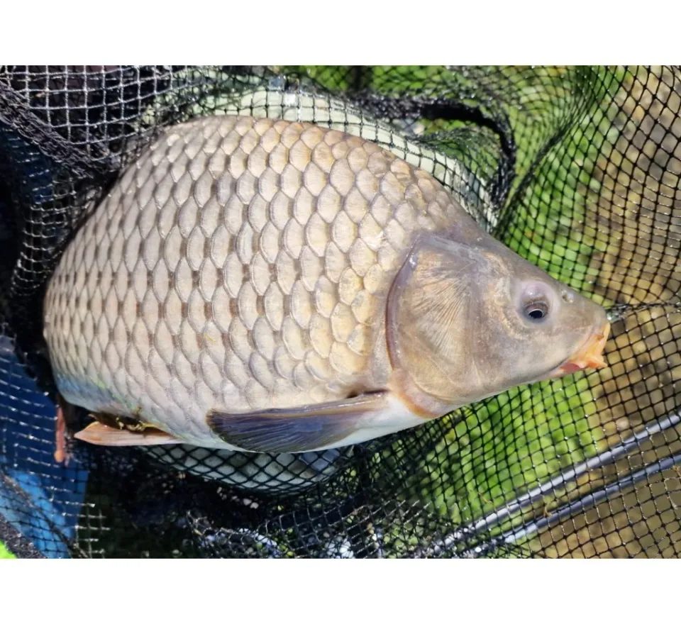 Chytil Krmítková směs Carp Mix 800g