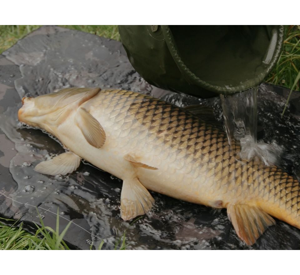 Delphin Podložka pod ryby CarpMat Banx Camo