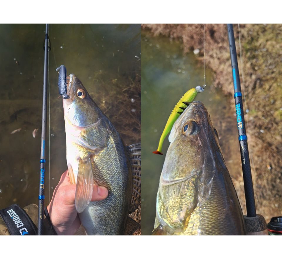 Delphin Prut Zandit 230cm 25g